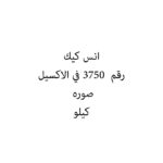 انس كيك