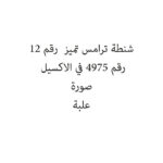 شنطة ترامس تميز  رقم 12