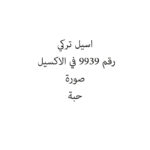 اسيل تركي