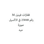 قفازات فينيل M