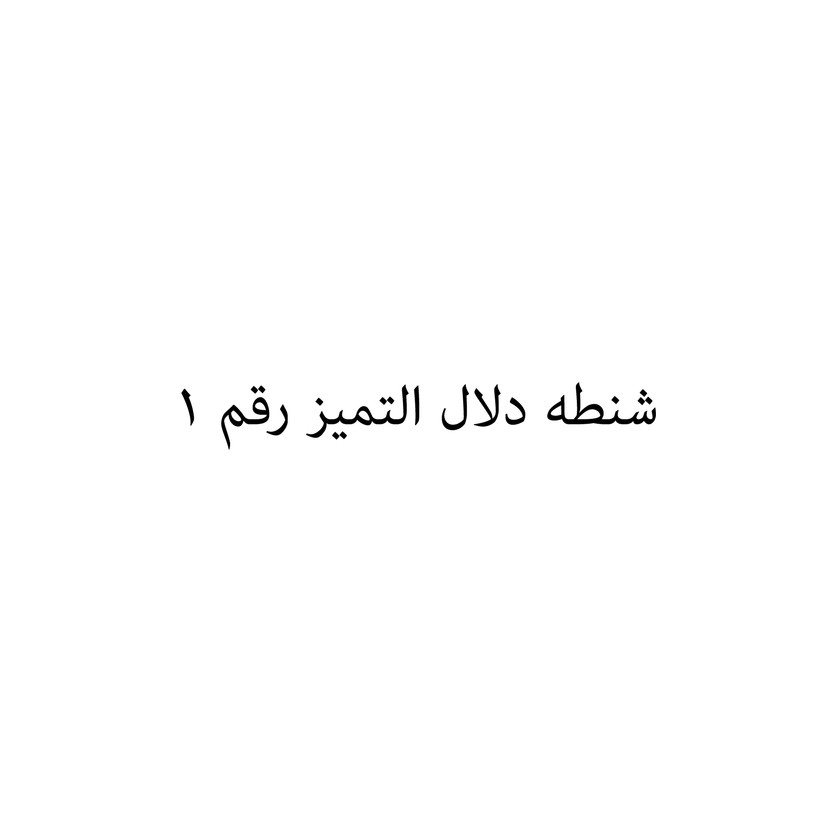 004001-حبة شنطه دلال التميز رقم 1 - Image 1