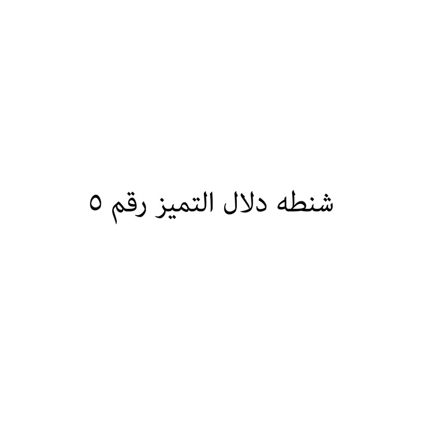 004005-حبة شنطه دلال التميز رقم 5 - الصورة 1