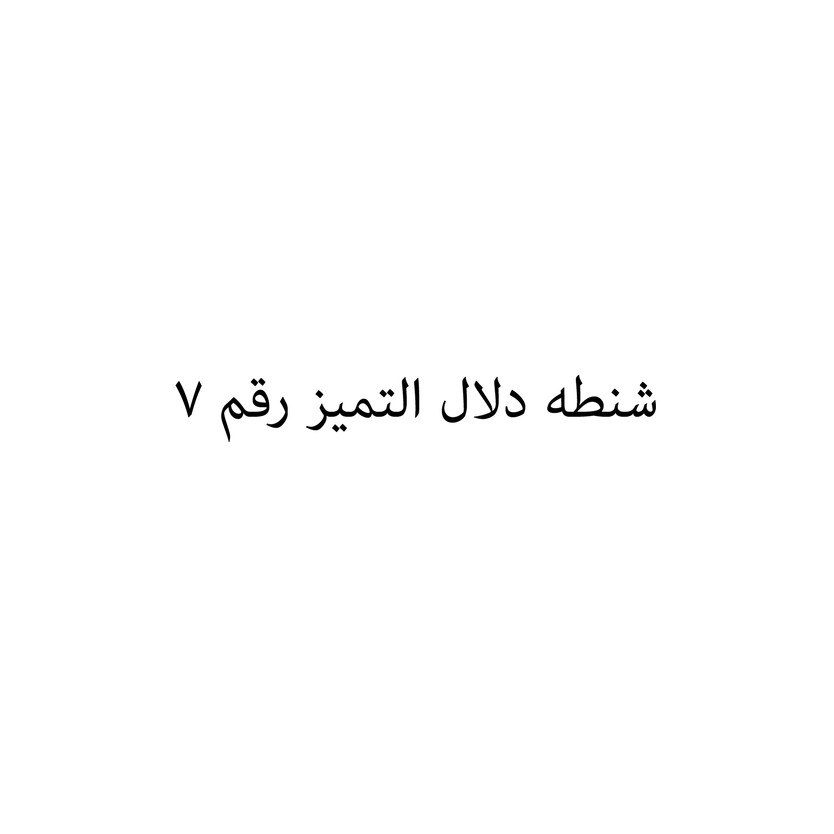 004007-حبة شنطه دلال التميز رقم 7 - الصورة 1