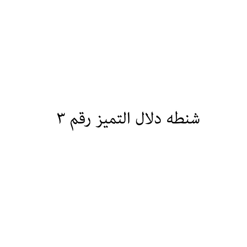 004011-حبة شنطه دلال التميز رقم 3 - الصورة 1