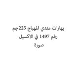 بهارات مندي المهباج 225جم