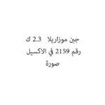 جبن موزاريلا   2.3 ك