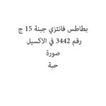 بطاطس فانتزي جبنة 15 ج