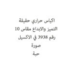 SHADI 12