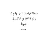شنطة ترامس تميز  رقم 13