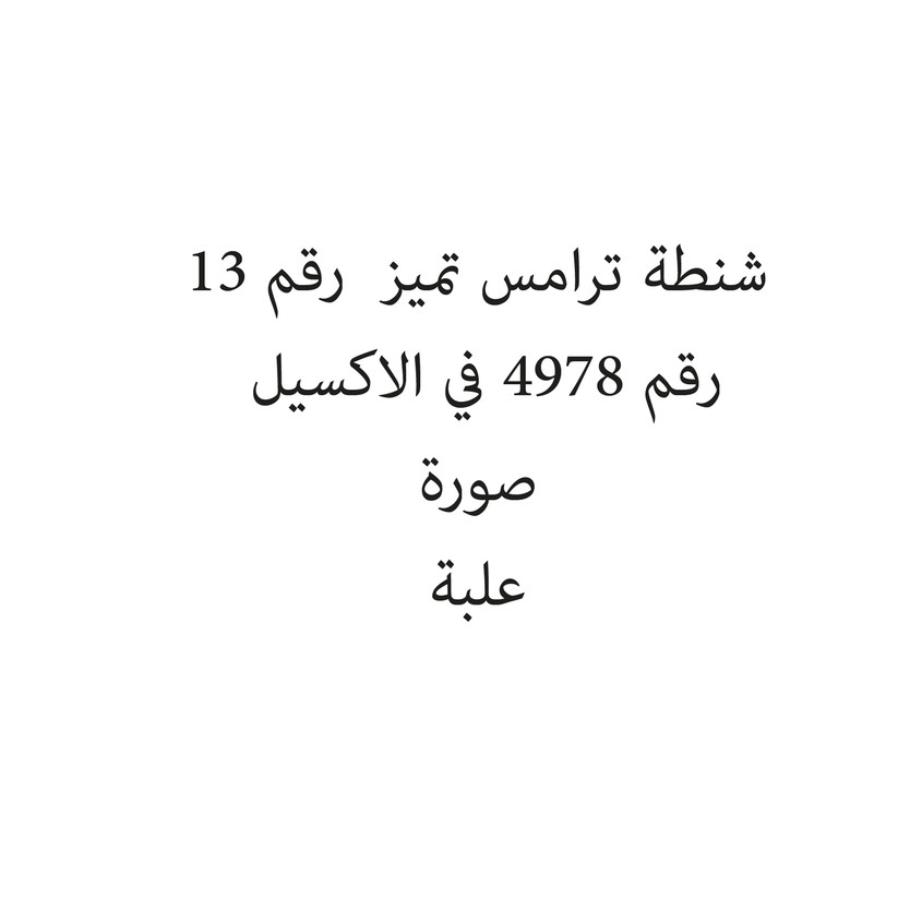 1121986-حبة شنطة ترامس تميز رقم 13 - Image 1