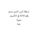شنطة كيس التميز مدور