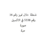 شنطة  دلال تميز رقم 16