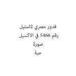 قدور مصري 2استيل