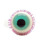حلوي عيون 10 ج