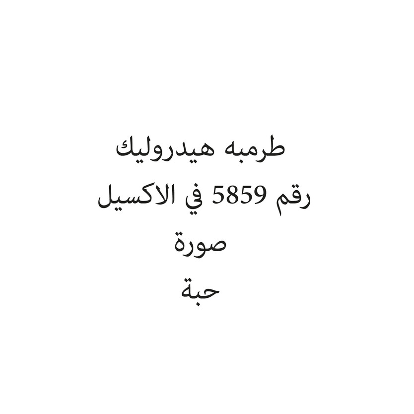 1324869-حبة طرمبه هيدروليك - Image 1