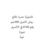 فاصوليا حمراء فاتح روض الاصيل 400جم