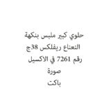حلوي كبير ملبس بنكهة النعناع ريفلكس 38ج