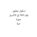 اسكوتر ينطبق .