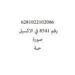 6281022102086