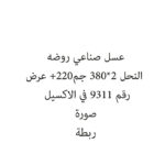 عسل صناعي روضه النحل 2*380 جم+220 عرض