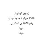 زيتون كوبلوفيا 1550 جرام / جديد جديد