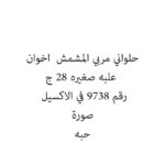 مكيتة حلاقة سفري