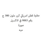 حلاوة قطن امريكي كبير ملون 300 ج