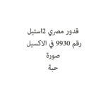 قدور مصري 2استيل