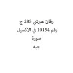 رقائق هيرشي خبز شبه حلوه  285 ج