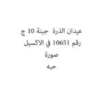 عيدان الذرة  جبنة 10 ج