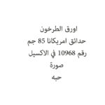 اورق الطرخون  حدائق امريكانا 85 جم