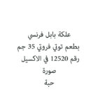 علكة بابل فرنسي بطعم توتي فروتي 35 جم