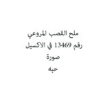 ملح القصب المروعي