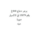برجر دجاج 840غ