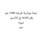 جبنة موزاريلا ظريفه 2300 جم