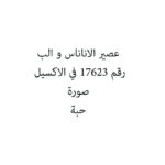 عصير الاناناس و الب