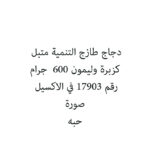 دجاج طازج التنمية متبل كزبرة وليمون 600  جرام