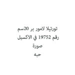 تورتيلا لامور بر 20سم
