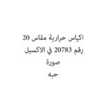 SHADI 12