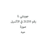 جوينتي L