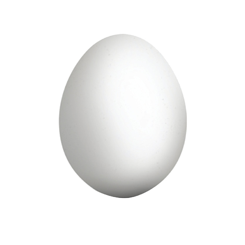 701422-حبة بيض شهيلا مغلف فاخر - Image 1