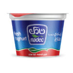 زبادي نادك قليل الدسم 170 جم