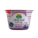 NADA GREEK YOGHURT BIUEBERRY L F 160 G