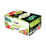 AL RABIE APPLE DRINK 29*250 ML