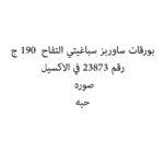بورقات ساوربز سباغيتي التفاح  190 ج