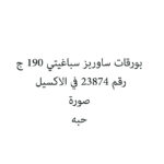 بورقات ساوربز سباغيتي 190 ج
