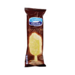 AL SAUDIA ICE CREAM 501 G
