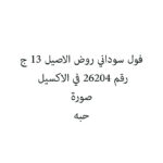 فول سوداني روض الاصيل 13 ج