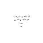 اكل قطط ويسكاس 1.6ك