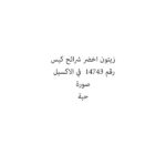 زيتون اخضر شرائح كيس